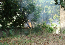 Defesa Civil alerta para período de estiagem em Vargem