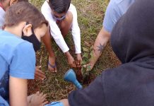 Alunos plantam mudas em São Sebastião da Grama