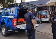 GCM prende rapaz furtando combustível