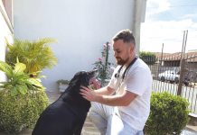 Momento Pet
