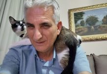 Momento Pet
