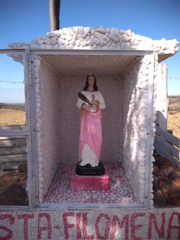 WhatsApp Image 2022-08-19 at 22.31.57