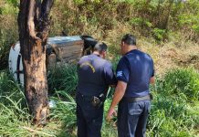 GCM atendeu acidente na rodovia SP-344, na quinta