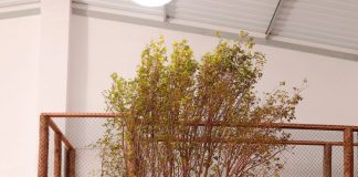 Pipoca Doce Buffet Infantil foi reinaugurado