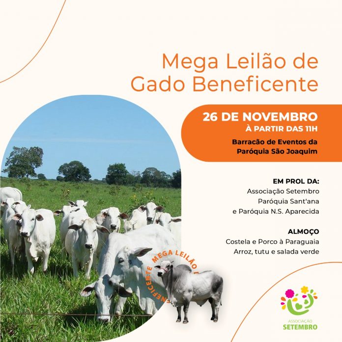 Mega Leilão de Gado