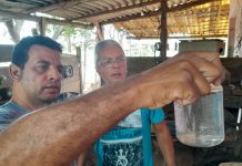 Casa Branca combate a dengue