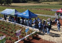 Produção do tradicional Dia de Campo da Unifeob será revertida à Associação Setembro