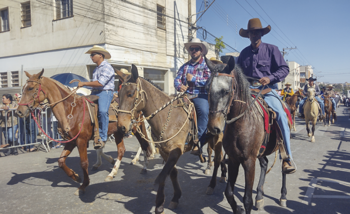 IMG_20220731_134748983_HDR