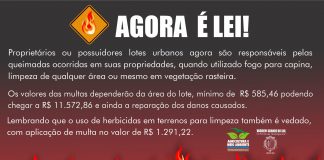 Multa pelo crime de queimada urbana pode chegar a R$ 11 mil