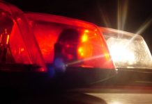 Mulher é presa por associação ao tráfico de drogas