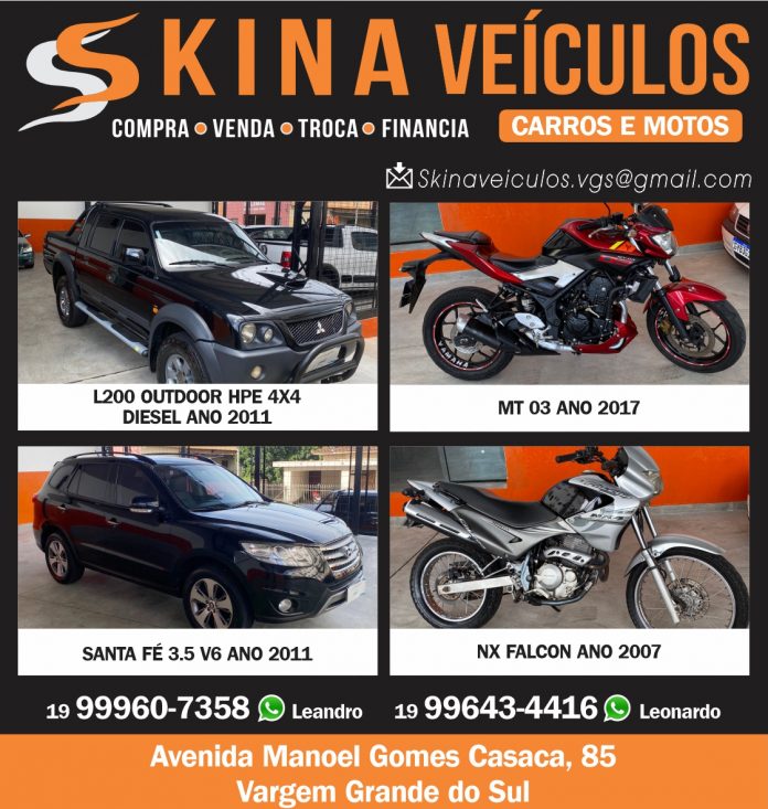 Skina Veiculos web