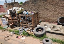 Casos de dengue chegam a 277 e superam 2023 inteiro