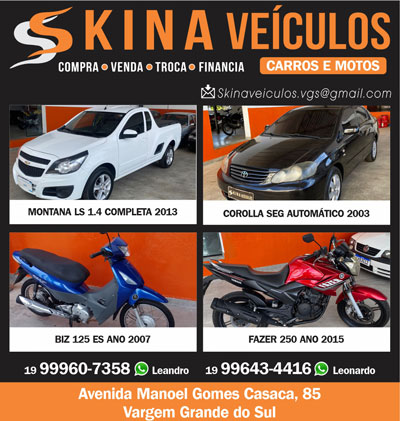 Skina-Veiculos-web