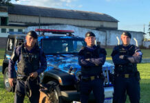 Canil da GCM venceu torneio