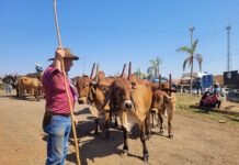 Romeiros participaram da Romaria do Desterro de Casa Branca