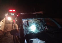 Homem morre após ser atropelado por carro na SP-344