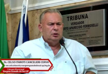 Painel: Ainda foragido