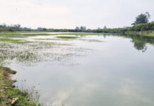 Empresário doa área de lago para a municipalidade