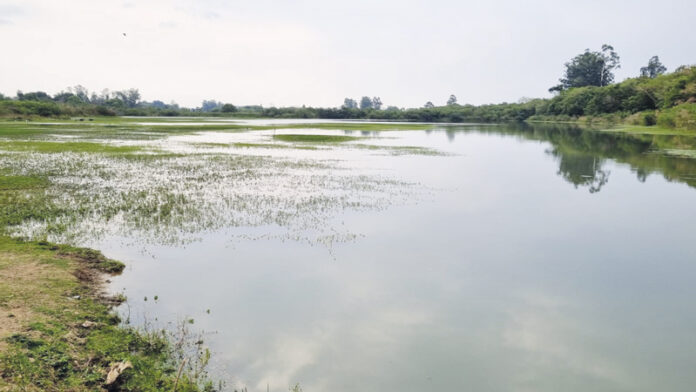 Emprésário-doa-lago-(2)