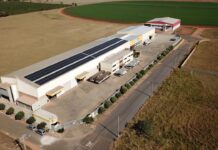 “Empresa Top 150 Anos”: Felgran: Uma história de tradição e inovação no mercado de grãos