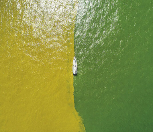 Foto de Fernanda Ligabue foi eleita entre as 10 melhores do Greenpeace de 2024