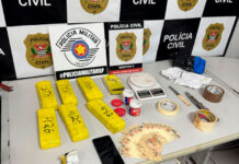 Ação da Polícia Civil e PM apreende 7 tijolos de maconha