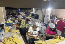 Tradicional Festa do Milho é neste fim de semana