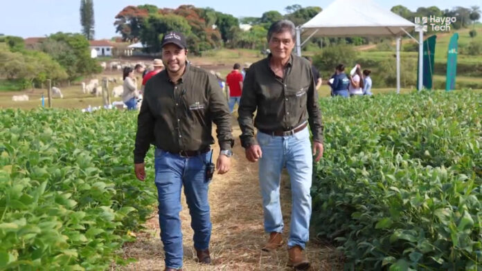 Vitrine-técnologica-(4)