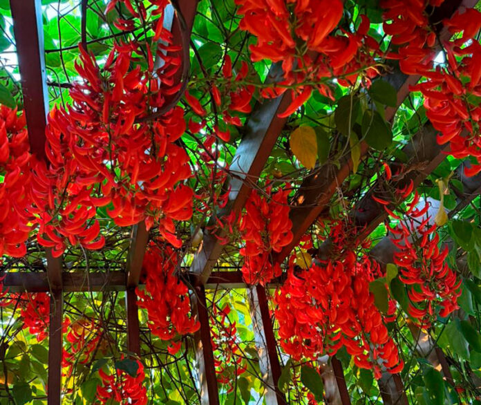 005e3826-30dd-48d9-a764-f03dbf093661-(1)