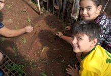 Escola de Grama inicia projeto Mãos à Horta