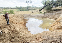 Engenheiro da Casa da Agricultura fala sobre efeitos do clima