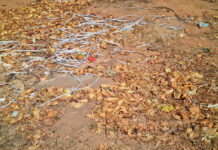 Moradores do Jd. Santo Expedito reclamam das queimadas de cascas de cebola e alho