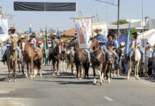 No ano da 49ª Romaria, população católica diminui