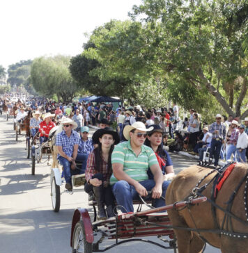 Público deve seguir regras para uso do gramado na Av. Hermeti Piochi