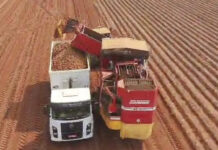 Produtores já enfrentam prejuízos mesmo com clima favorável