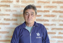 Árvore invasora, a leucena oferece sérios riscos ao meio ambiente