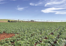 Agricultores devem ficar atentos as mudanças climáticas