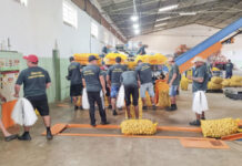 Reflexos dos preços baixos são sentidos em Vargem