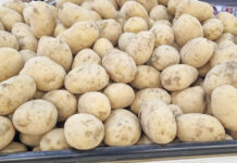 Preço da batata continua em queda