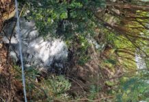 Morador reclama de esgoto na Av. Bolonha