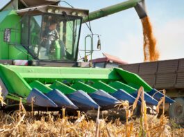 Safra leva Vargem a saldo positivo de mais de 1 mil vagas