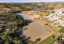 Câmara Municipal poderá ter agenda importante para o Dia da Árvore
