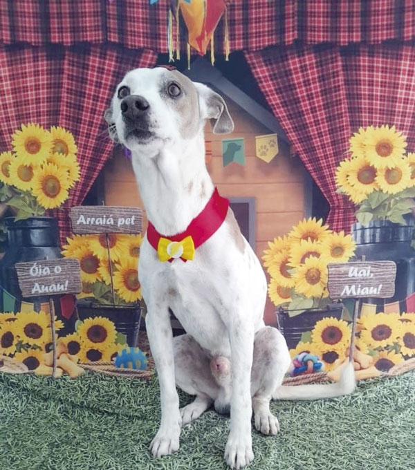 65b1b2c8-69b8-46f4-a948-f9361be74cd4