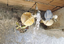 Em meio à crise, SAE está investindo R$ 30 milhões