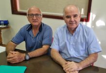 Painel: Lei de arborização