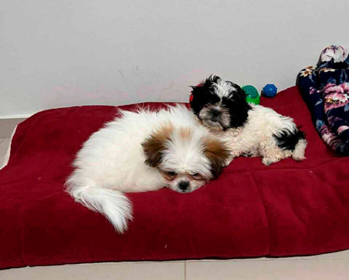 bcfd52bf-face-4a2a-8087-0589d16d3f5b