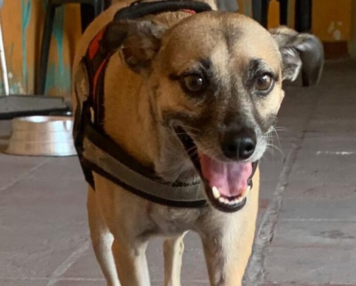 e115ca8b-b5f4-424d-844e-28ea4f5b081d