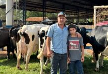 Agropecuária Puro da Fazenda vende novilhas para o Senegal