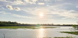 Governo recomenda construção de represas para enfrentar crise hídrica e Vargem se prepara para construir 4ª Barragem