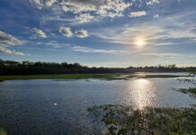 Represa Parque Águas do Rio Verde terá cerca de 23 alqueires